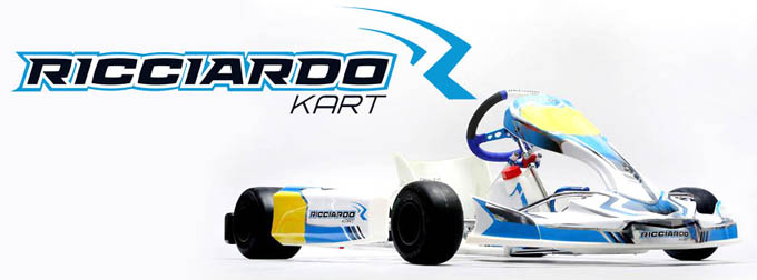 Ricciardo Kart
